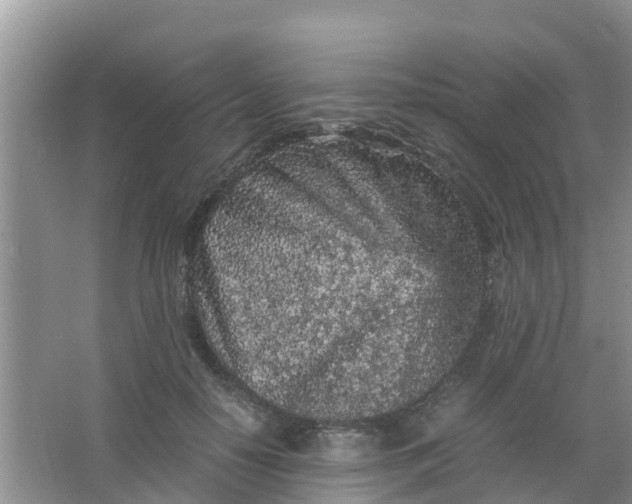 X0000066940650200604071913