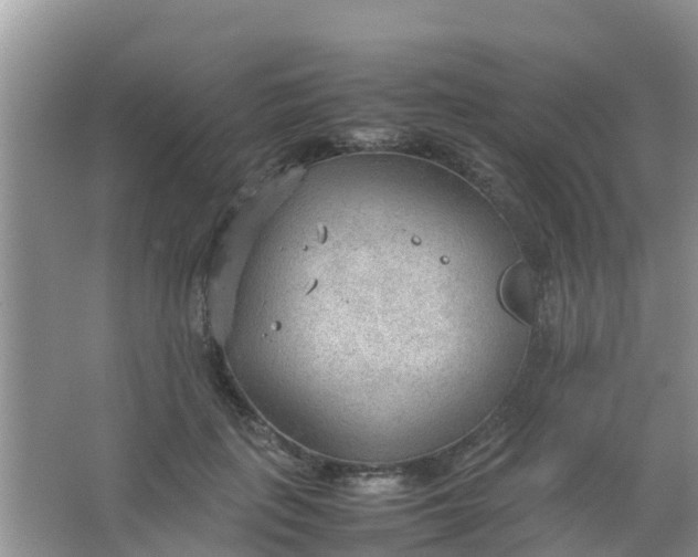 X0000066940651200604071913