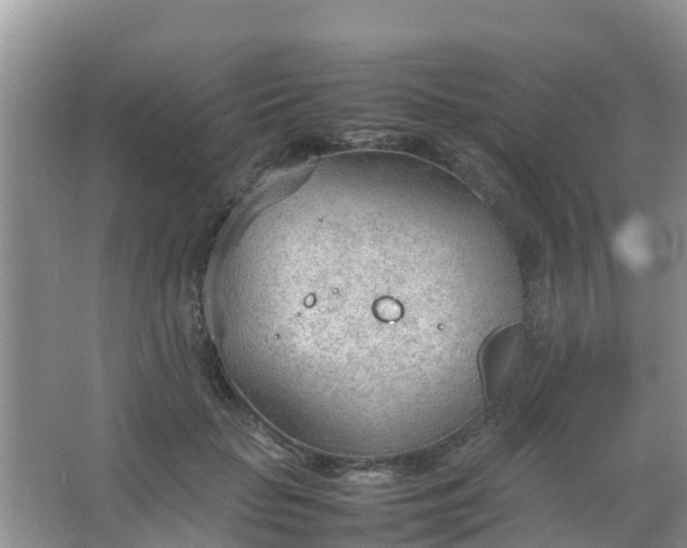 X0000066940653200604071913