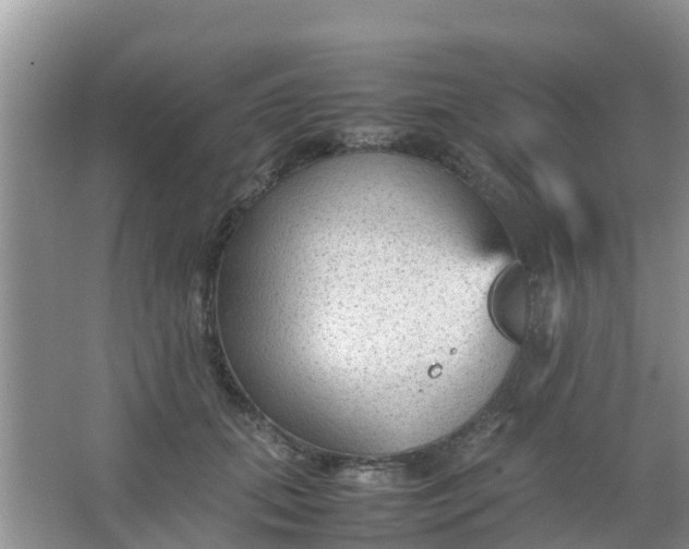 X0000066940655200604071913