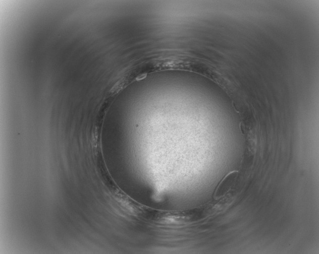 X0000066940657200604071913