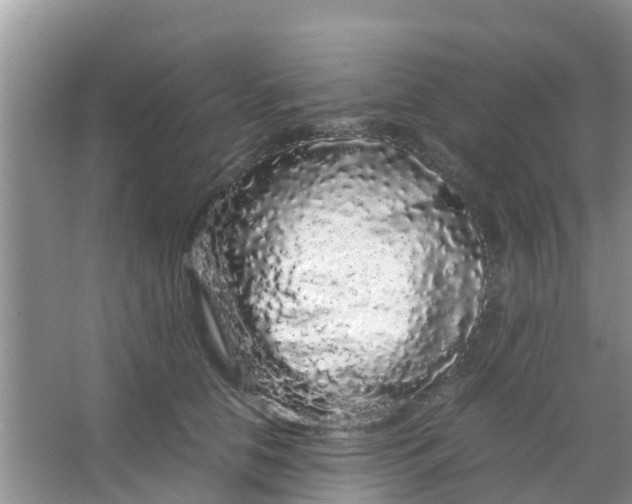 X0000066940658200604071913