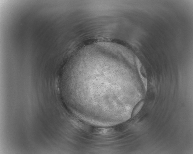 X0000066940663200604071914