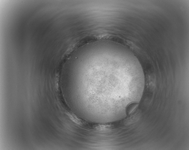 X0000066940664200604071914