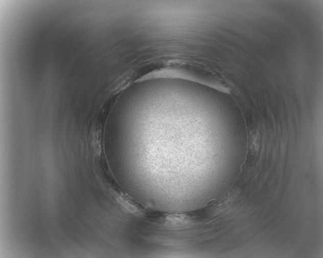 X0000066940666200604071914