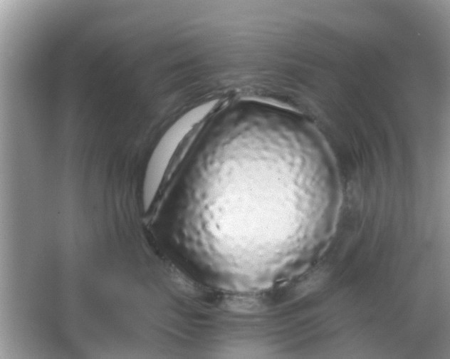 X0000066940671200604071914