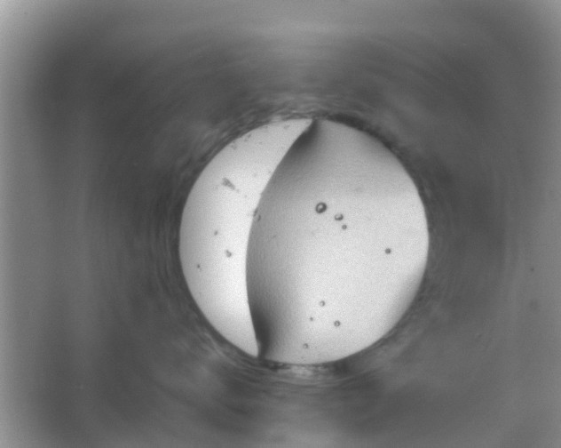 X0000066940672200604071914