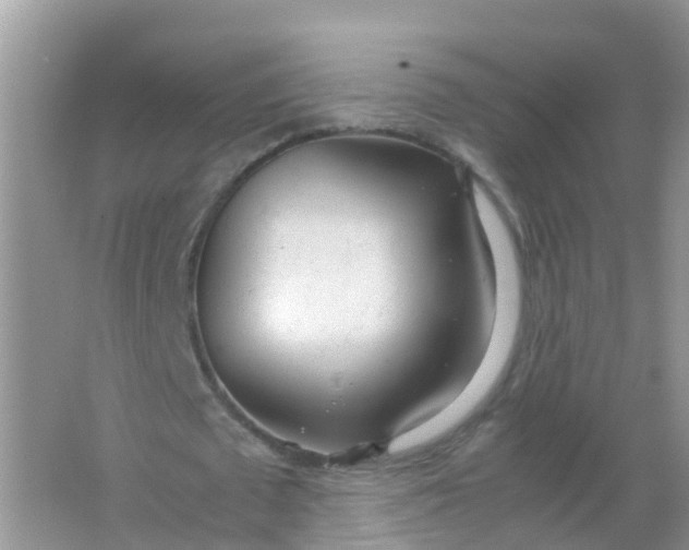 X0000066940673200604071913