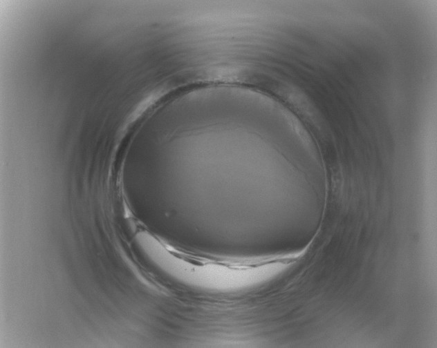 X0000066940674200604071913