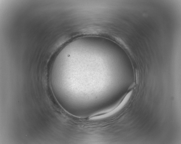 X0000066940675200604071913