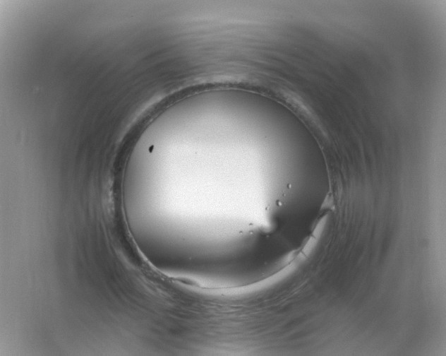 X0000066940676200604071913