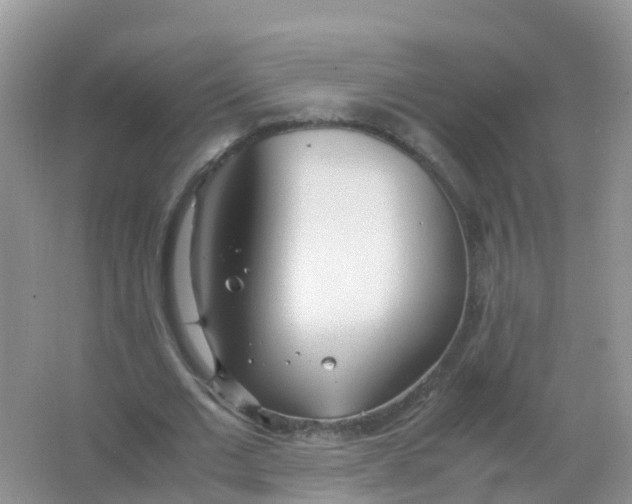 X0000066940677200604071913