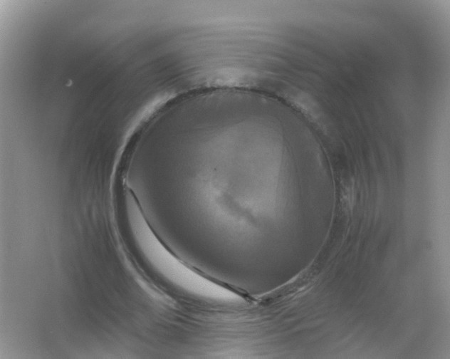 X0000066940678200604071913