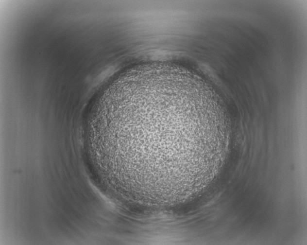 X0000066940683200604071913