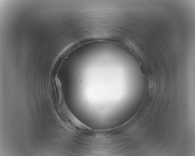 X0000066940684200604071913