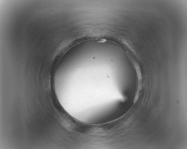 X0000066940685200604071913