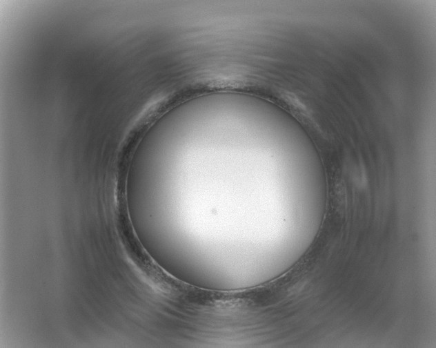 X0000066940686200604071913