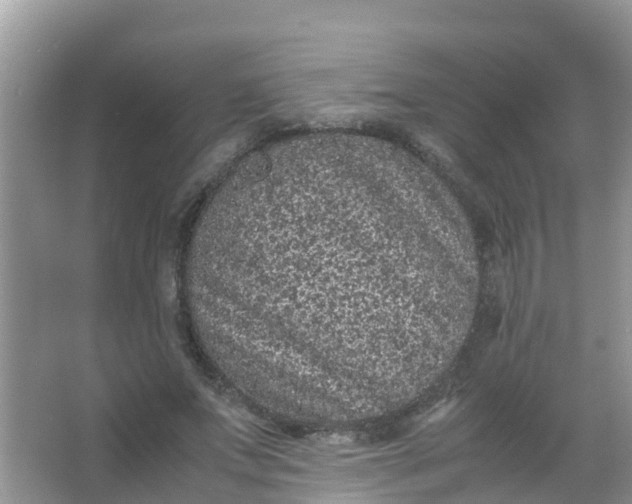 X0000066940687200604071913