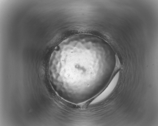 X0000066940691200604071913