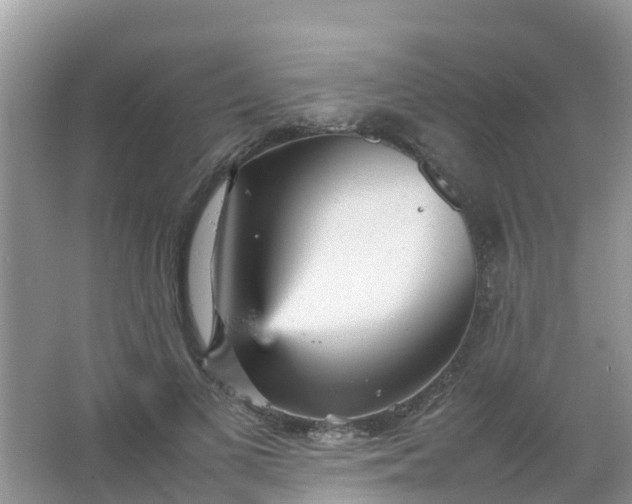 X0000066940693200604071913