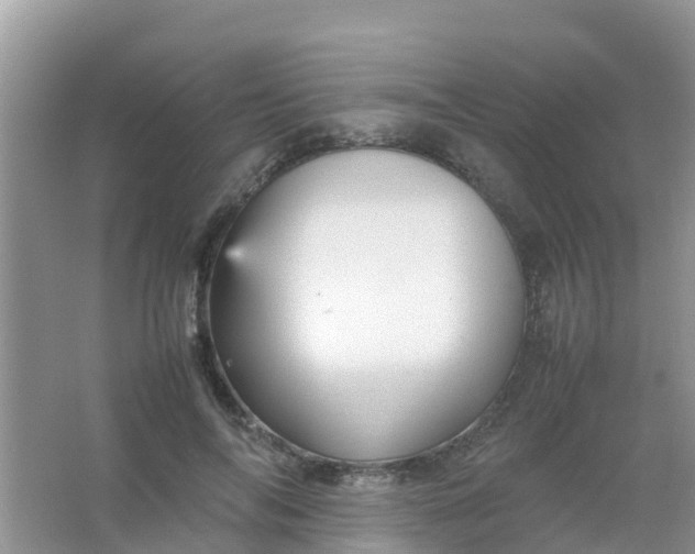 X0000066940694200604071913