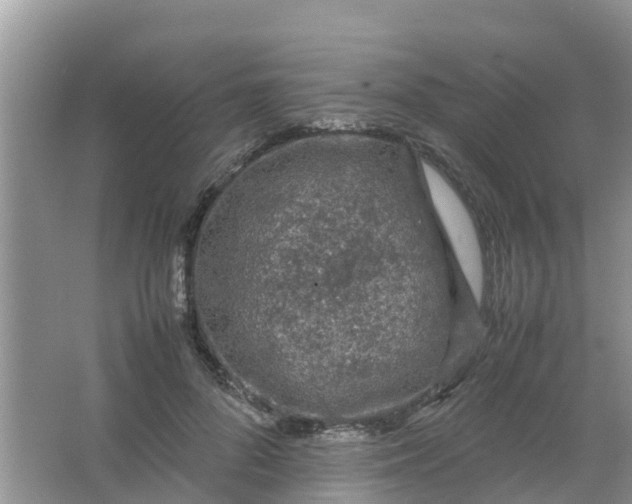 X0000066940696200604071913