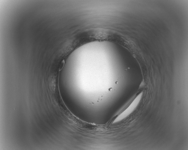 X0000066940697200604071912