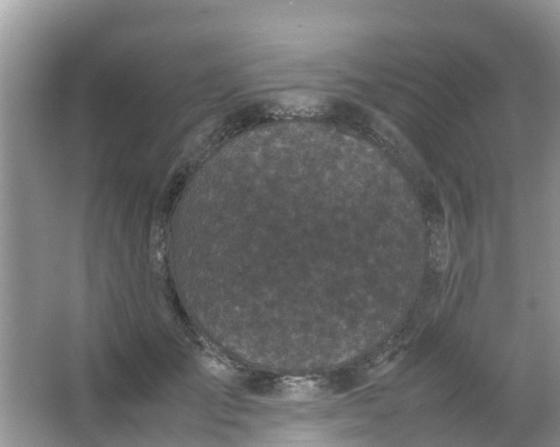 X0000066940701200604071912