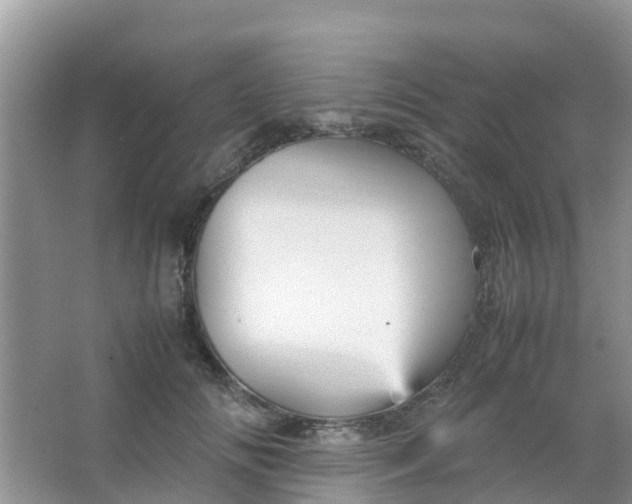 X0000066940702200604071912