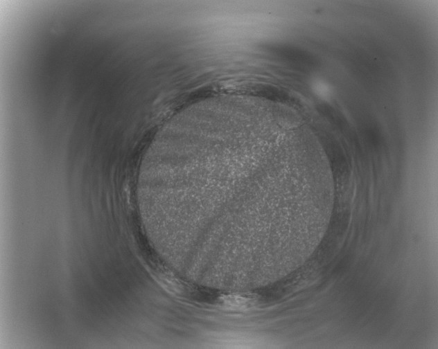 X0000066940703200604071912