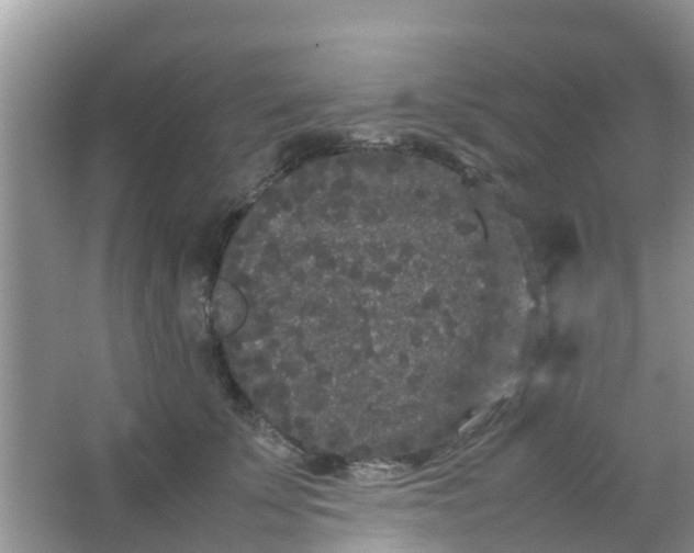 X0000066940707200604071912