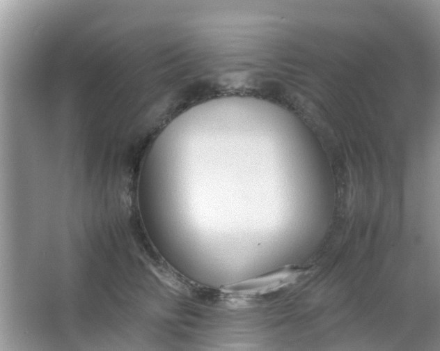 X0000066940710200604071912