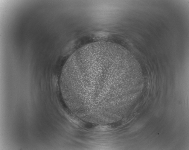 X0000066940711200604071912