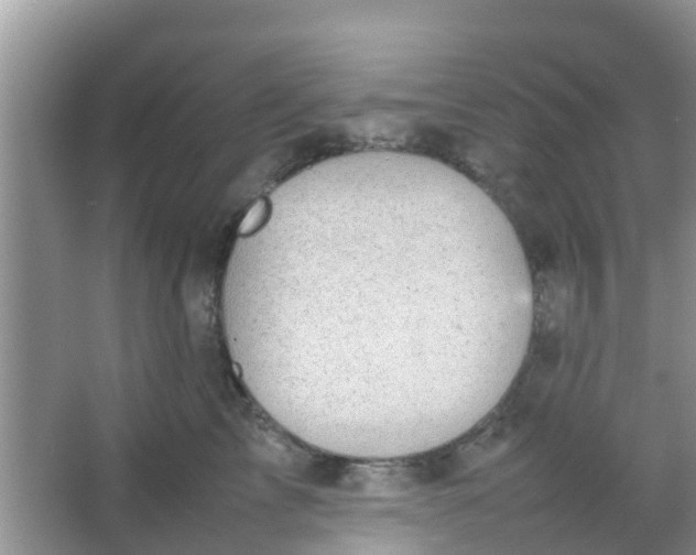 X0000066940713200604071912