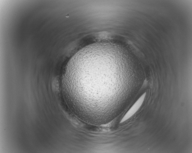 X0000066940715200604071912