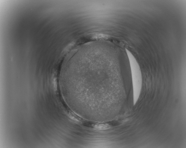 X0000066940716200604071912