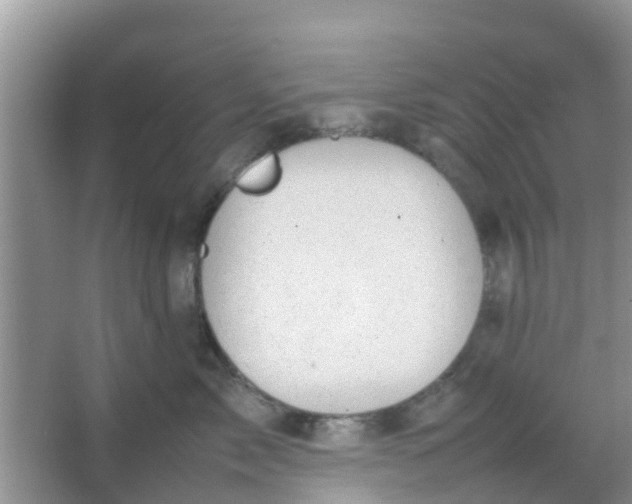 X0000066940717200604071912