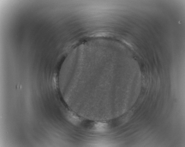 X0000066940718200604071912