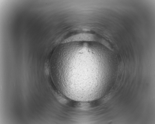 X0000066940719200604071912