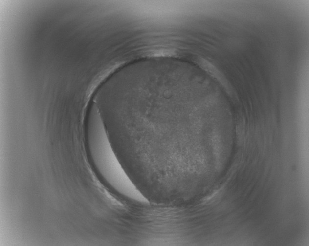 X0000066940721200604071911