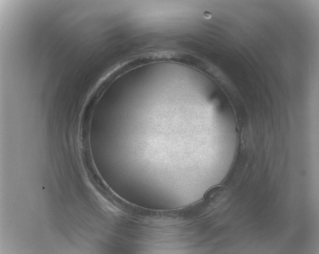 X0000066940722200604071911