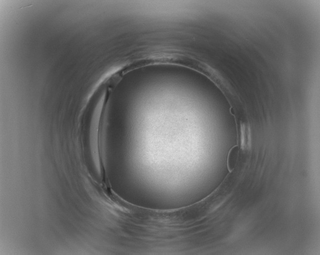 X0000066940723200604071911