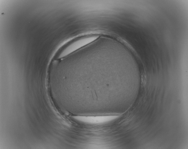 X0000066940724200604071911