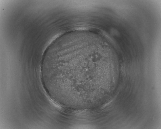 X0000066940725200604071911