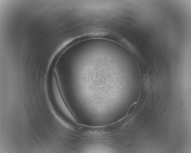 X0000066940726200604071911