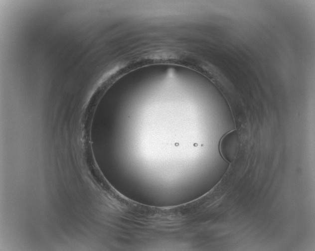 X0000066940727200604071911