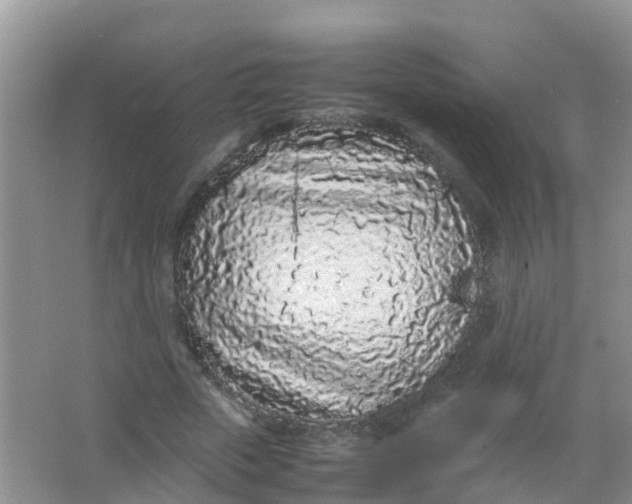 X0000066940729200604071911