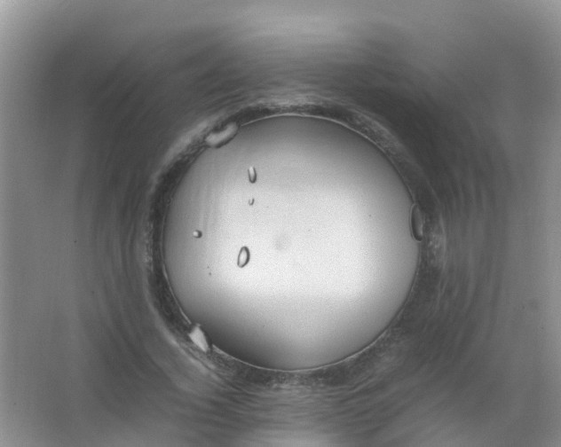 X0000066940732200604071911