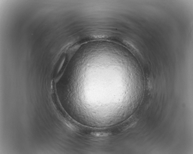 X0000066940733200604071912