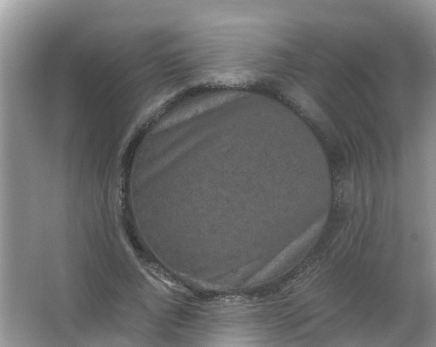 X0000066940736200604071912